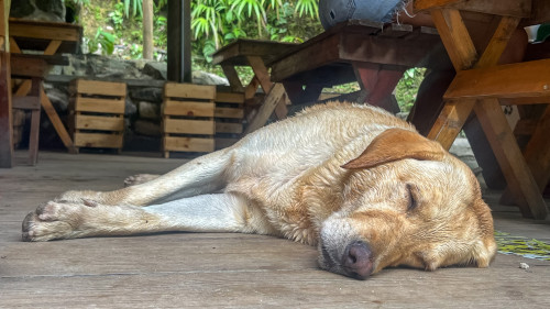 20240131T134305_2639