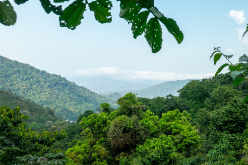 20240131T144527_2640