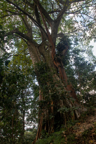 20240131T145916_2651