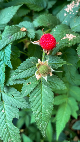 20240131T152938_2657