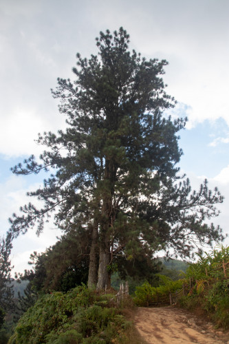 20240131T154410_2659