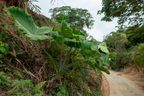 20240131T155705_2668