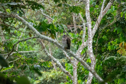 20240131T160814_2680