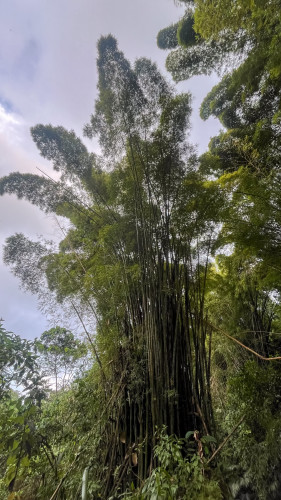 20240131T161830_2697