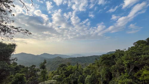 20240131T164026_2699