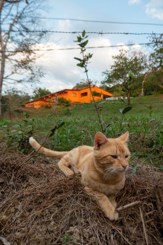 20240131T172228_2722