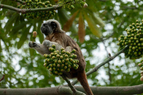 20240202T133714_0751