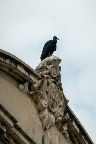 20240202T135715_0785