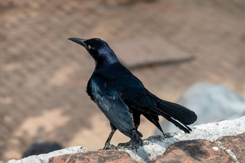 20240202T144204_0791