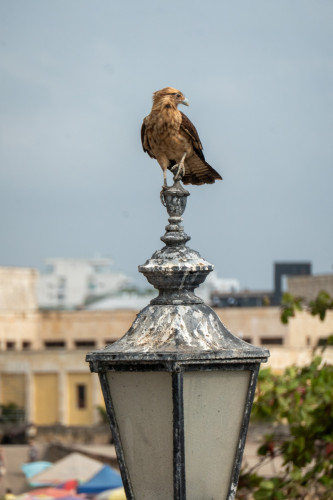 20240202T145044_0793