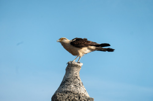 20240202T162627_0805