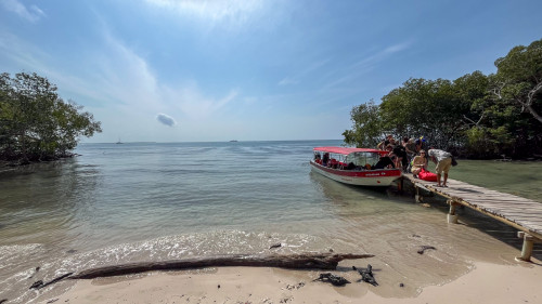 20240203T102828_0262