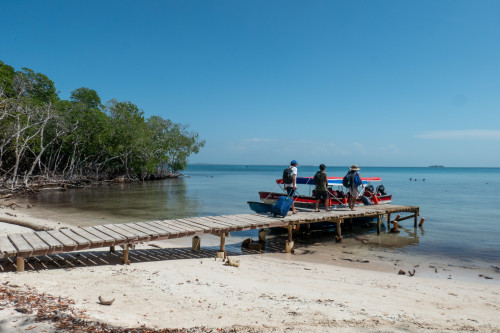 20240204T132657_0825