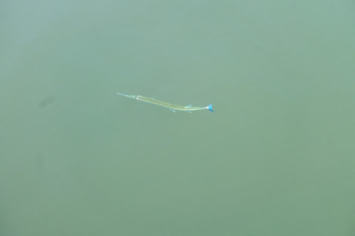 20240204T144054_1005