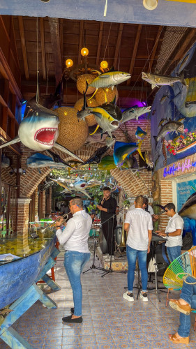 20240204T152107_0400