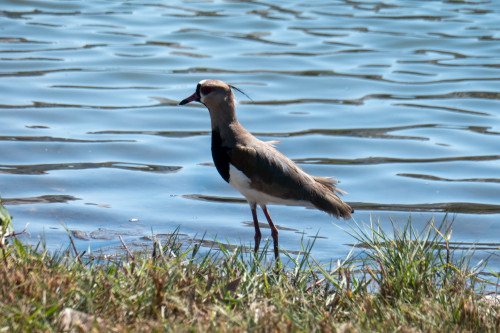 20240205T141220_1051