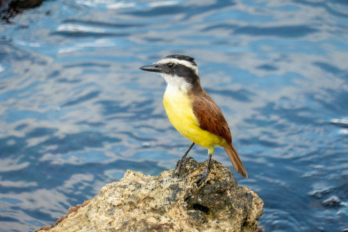 20240205T150938_1173