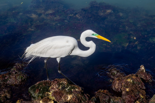 20240205T151316_0686