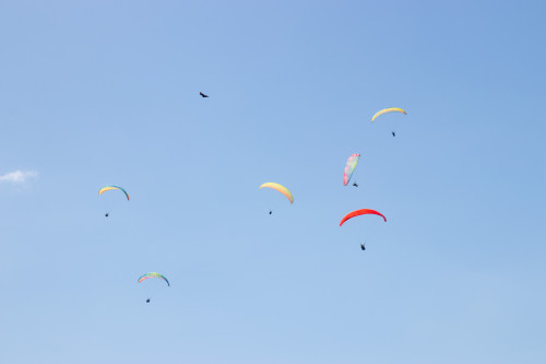 20240207T115626_0035