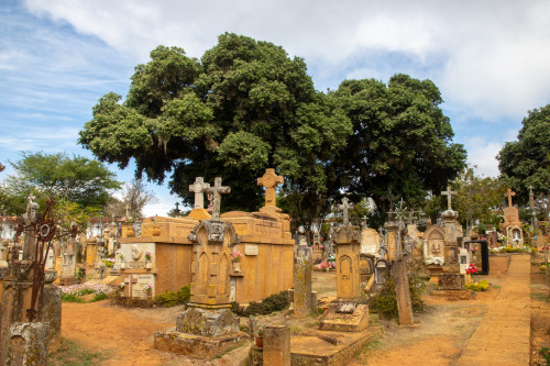 20240208T101148_0029