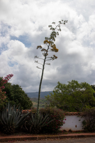 20240208T105204_0059