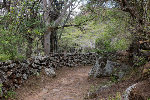 20240208T114351_0077