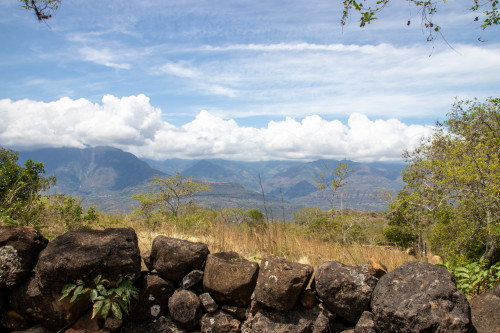 20240208T114952_0079