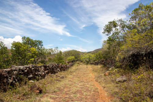 20240208T121020_0081